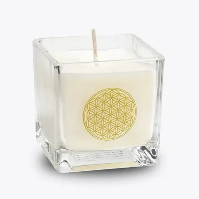 Geurkaars Refreshing koolzaadwas 88g 6cm