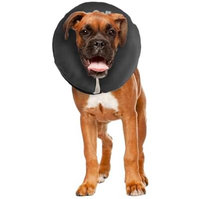 Zenpet ProCollar L