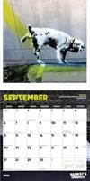 Banksy Kalender 2026 - thumbnail