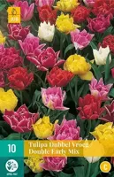 Tulp Double early mix 7 bollen - thumbnail