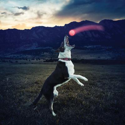 NITE Ize GlowStreak LED-hondenbal Transparant 1 stuk(s) NITE Ize GlowStreak LED-hondenbal Transparant 1 stuk(s)