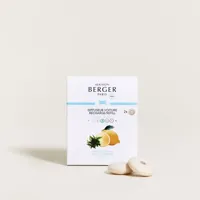 Lampe Berger Autoparfum navulling Zeste de Verveine - thumbnail