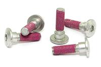 TRW bouten set screw set 5pcs. m8x1,25 - thumbnail