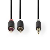 Nedis CABW22200AT10 Stereo Audiokabel 3,5 Mm Male - 2x Rca Male 1,0 M Antraciet - thumbnail