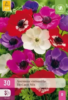 Bloembollen Anemone De Caen Mix 30st