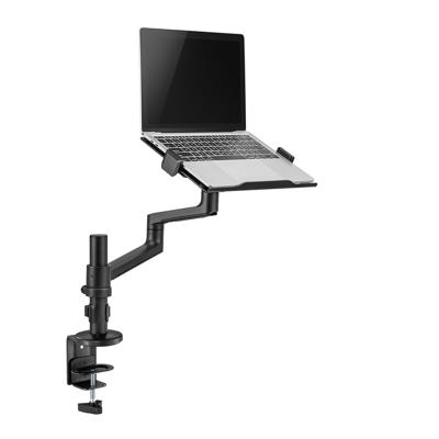 Neomounts ds20-425bl1 laptop desk-mount, 11.5" - 17.3", 5 kg, tilt/ rotate/ swivel, steel, black