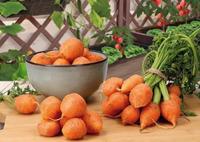 Patio wortel parijse markt 1g - thumbnail