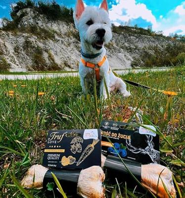 SYTA MICHA Hertenvel en bessenbot - hondensnack - 13,5 cm