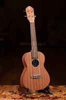 Ortega RFU11S concert ukelele naturel met tas - thumbnail