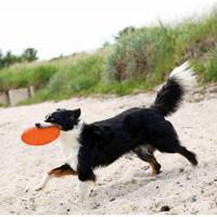 Frisbee Trixie TPR Ø 22 cm - thumbnail