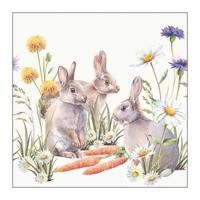Ambiente servetten carrot treat 33x33cm - thumbnail