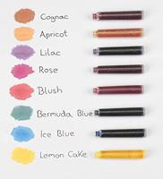 6 Inktpatronen Schneider Ice Blue pastel - thumbnail