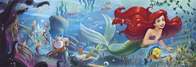 Clementoni panorama puzzel disney prinses, 1000st.