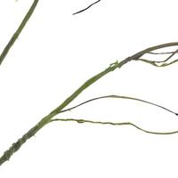 Flex twig branch w/leaf green 112 cm kunstbloem Erutan Avon - Erutan avon - thumbnail