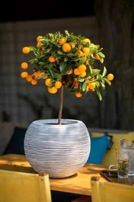 Capi Pot Bol Rib Ø40cm Ivoor - thumbnail