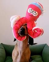 Fuzzyard octo-posse takoyaki pluche - thumbnail