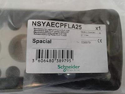 Schneider Electric NSYAECPFLA25 NSYAECPFLA25 (b x h) 215 mm x 25 mm Polypropyleen Grijs-wit (RAL 7035) 1 stuk(s) Schneider Electric NSYAECPFLA25 NSYAECPFLA25 (b x h) 215 mm x 25 mm Polypropyleen Grijs-wit (RAL 7035) 1 stuk(s)