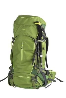 DÖRR Rugzak Outdoor Pro 65 + Pro 15 65 l (b x h x d) 350 x 750 x 250 mm Groen 464016 DÖRR Rugzak Outdoor Pro 65 + Pro 15 65 l (b x h x d) 350 x 750 x 250 mm Groen 464016