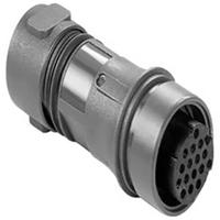 Bulgin PXP6011/16S/CR/0910 Bulk 1 stuk(s) - thumbnail