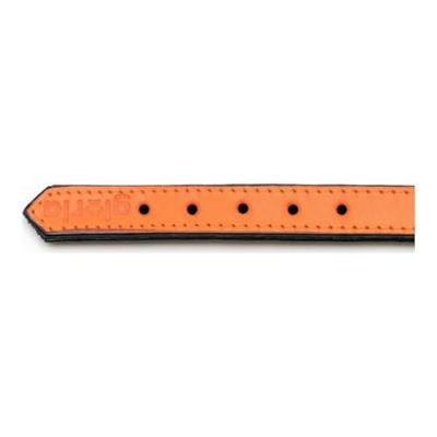 Hondenhalsband Gloria Gestoffeerd Oranje (30 cm) (30 x 1,5 cm)