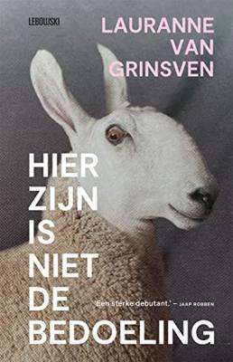 Hier zijn is niet de bedoeling - Lauranne van Grinsven - ebook