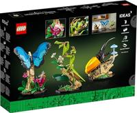 LEGO IDEAS 21342 De insectencollectie - thumbnail
