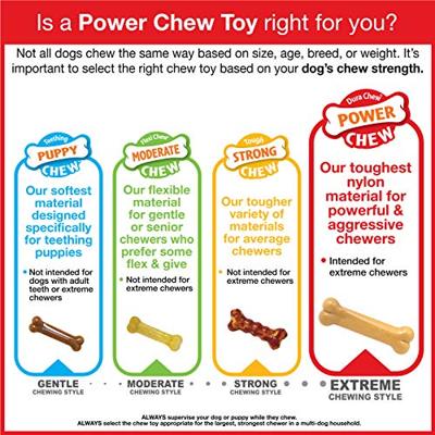Nylabone dura chew cheese bone