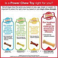 Nylabone dura chew cheese bone - thumbnail