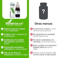 Soria Rosmarinus officinalis XXI extract (50 ml) - thumbnail