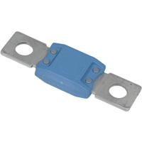 Victron Energy Zekeringsinzetstuk CIP137250010 170 mm x 100 mm - thumbnail