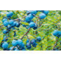 Tuinnet nano h4b10m blauw - thumbnail