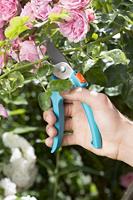 GARDENA Classic snoeischaar - thumbnail