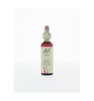 Bach Flower Remedies Lariks 19 - thumbnail