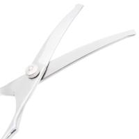 6-delige Hondentrimset roestvrij staal - thumbnail