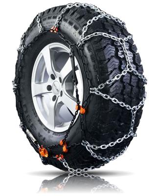 RTR Rex TR NR8