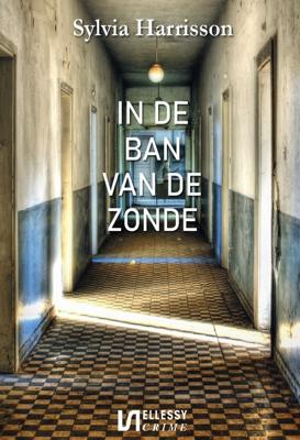 In de ban van de zonde - Sylvia Harrisson - ebook