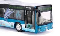 Siku harmonicabus 3736 - thumbnail