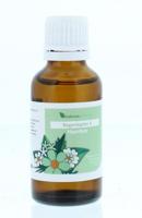 Balancepharma RGP005 Hypofyse Regenoplex 30 Milliliter - thumbnail