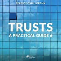 Trusts - A Practical Guide 6 - thumbnail
