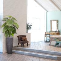 Alocasia Calidora kunstplant 115cm - thumbnail