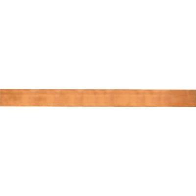 Striebel & John 2CPX061362R9999 Koperrail 500 A 1 stuk(s)