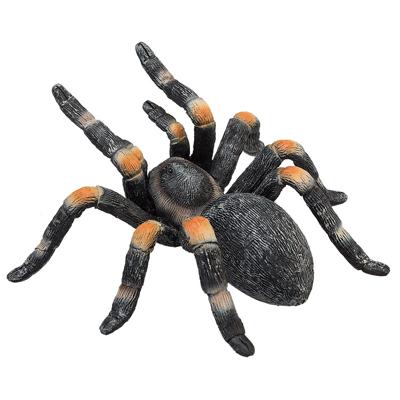 Mojo wildlife rode tarantula - 387213 Mojo wildlife rode tarantula - 387213