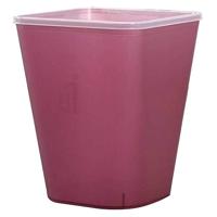 Spaanse mop 220gram - thumbnail