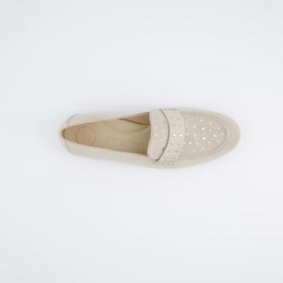 Paul Green 1137 - alle Paul Green 1137 - alle