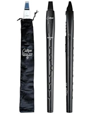 Carry-On Digital Wind Instrument 2 Black digitaal blaasinstrument