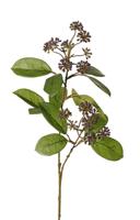 Bessentak h70 cm I kunstplant Van Rijsoort - Hortus - thumbnail