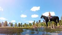 The Unicorn Princess - thumbnail