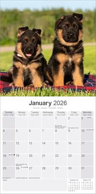 Duitse Herder Kalender 2026