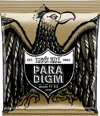 Ernie Ball PARADIGM Acoustic Light 2088
