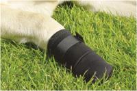 Beeztees Beschermingsschoen Zwart M 2st - thumbnail